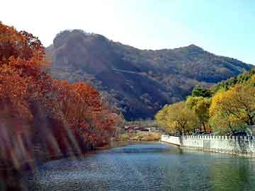 新澳天天开奖资料大全旅游团，王新政白马寺痛消贴